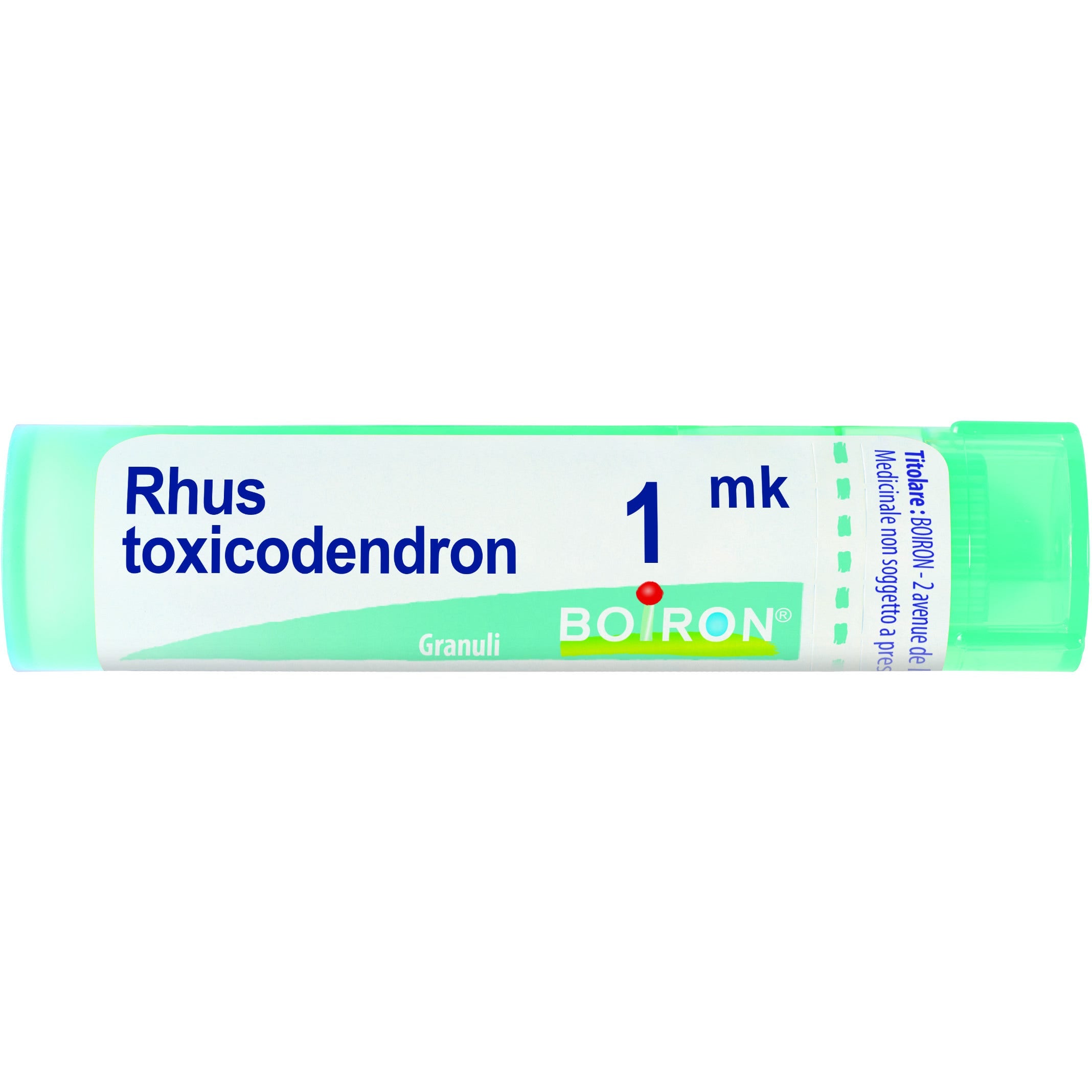 Boiron Rhus Toxicodendron 1Mk Tubo 80 Granuli-1