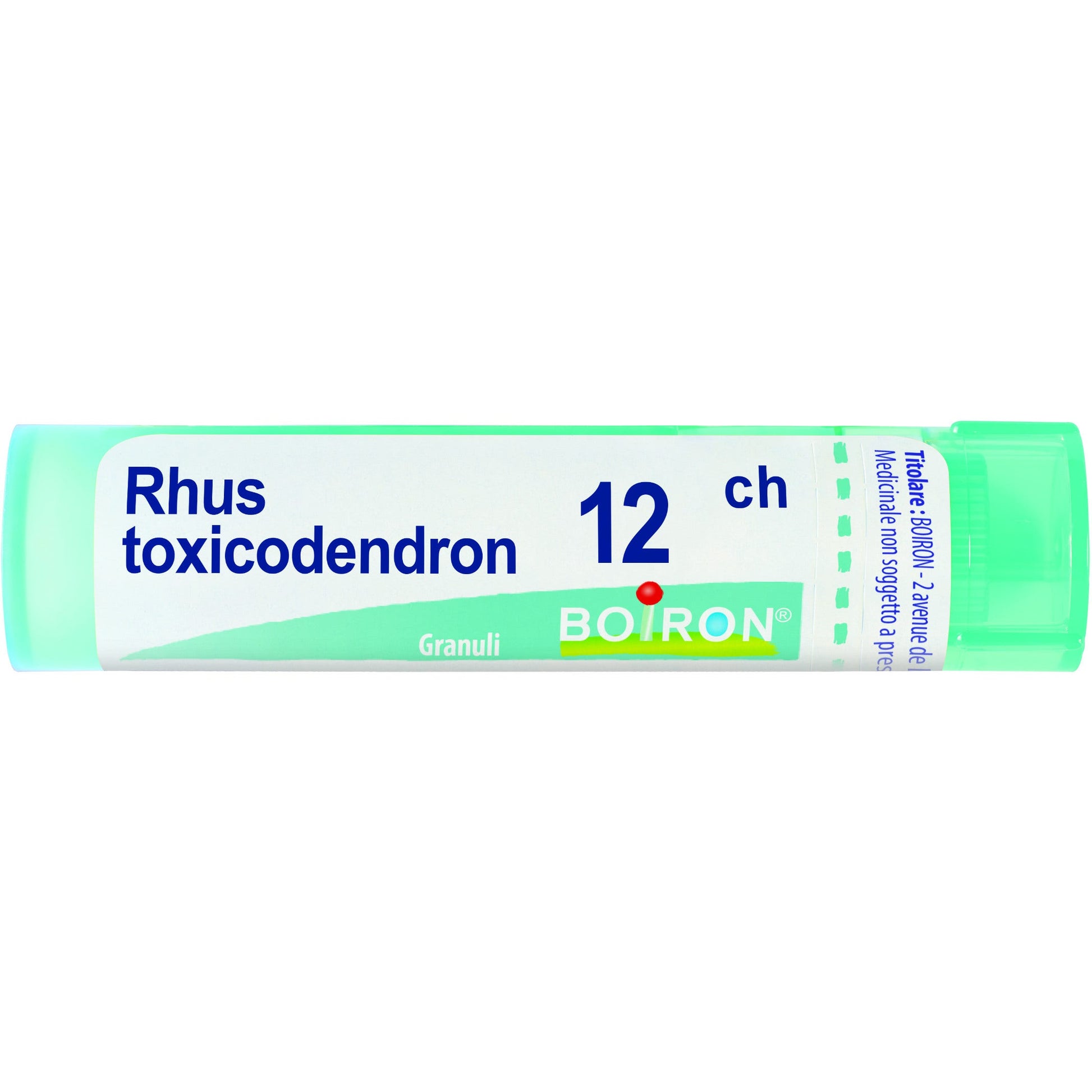 Boiron Rhus Toxicodendron 12Ch Tubo 80 Granuli 4g-1