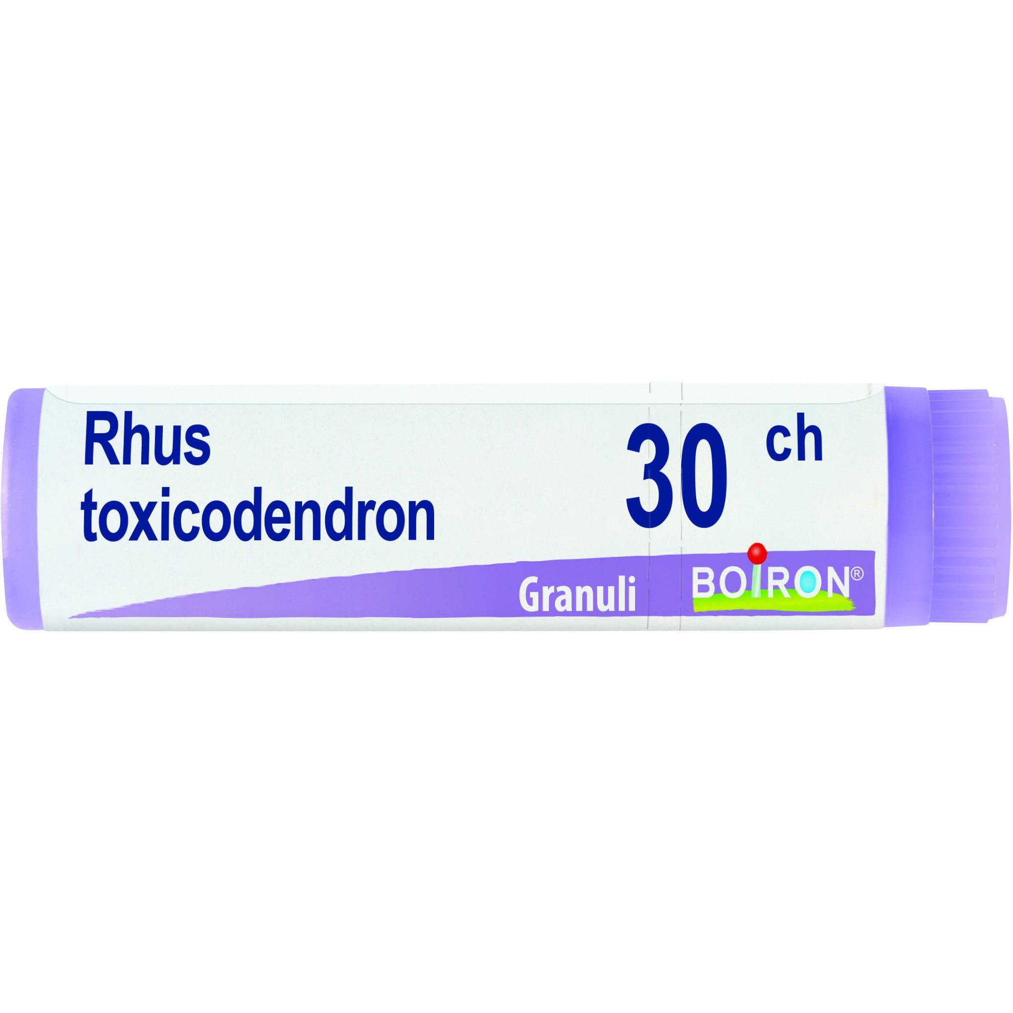 Boiron Rhus Toxicodendron Globuli 30Ch Dose 1g-1