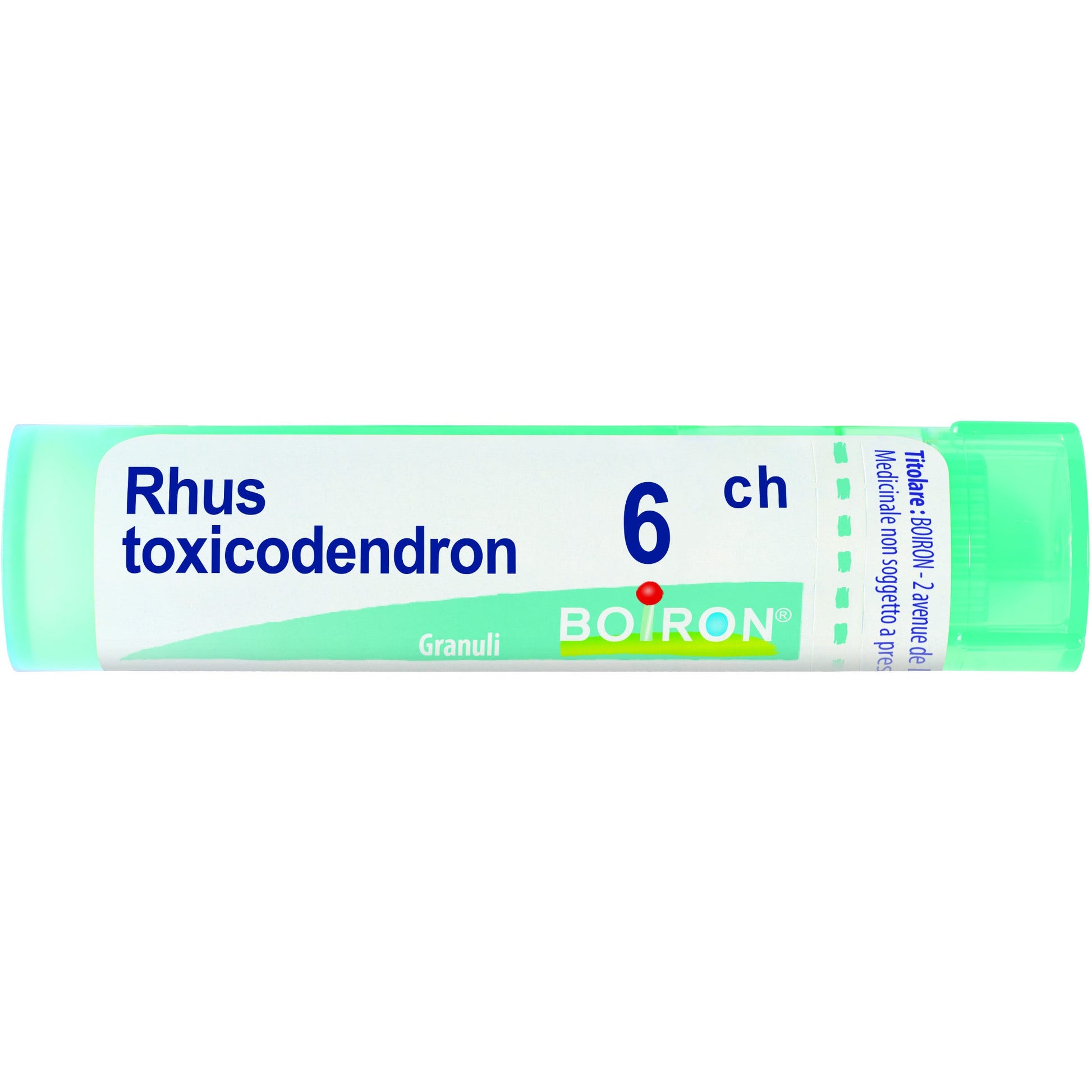 Boiron Rhus Toxicodendron 06Ch Tubo 80 Granuli 4g-1