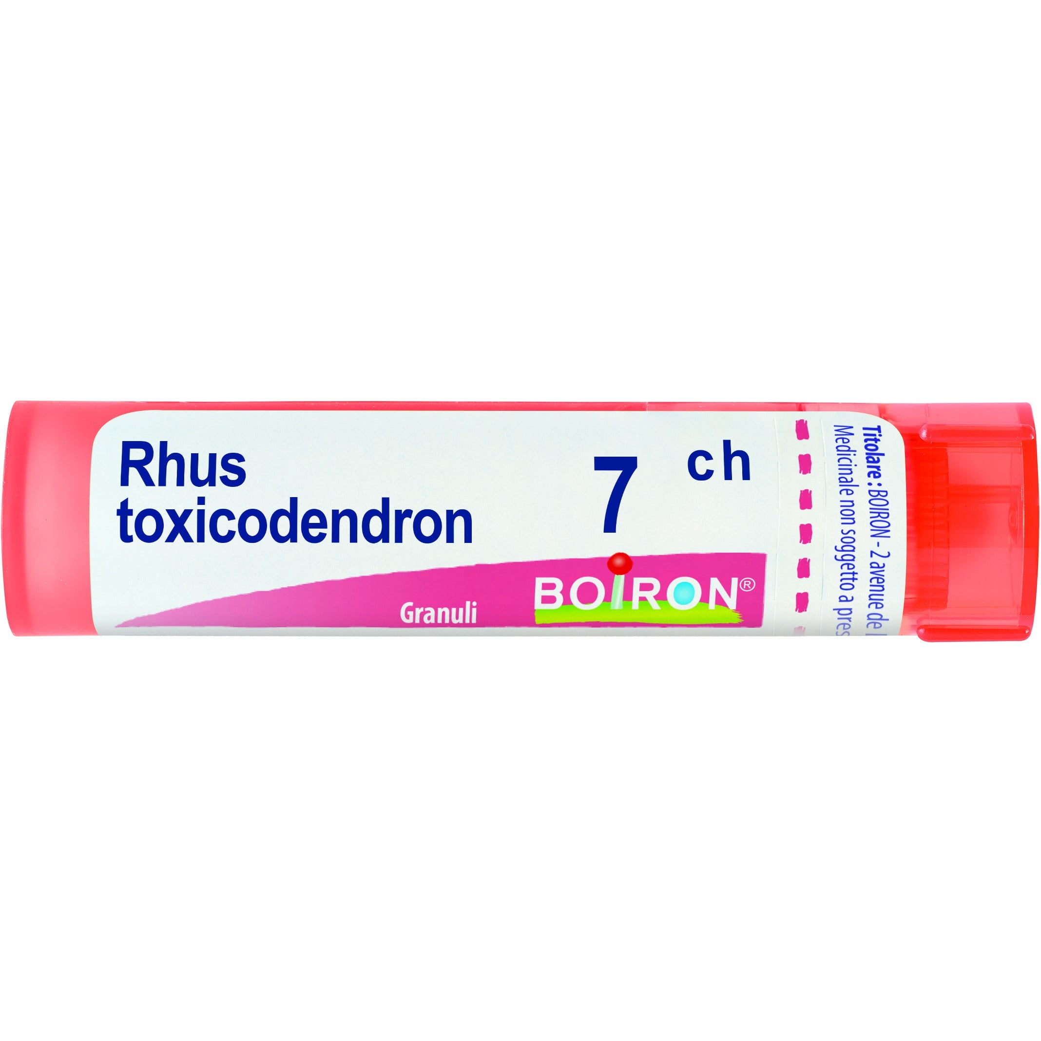 Boiron Rhus Toxicodendron 07Ch Tubo 80 Granuli 4g-1