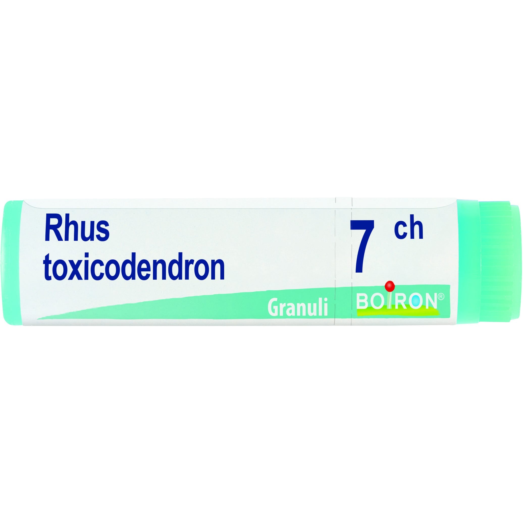 Boiron Rhus Toxicodendron Globuli 07Ch Dose 1g-1