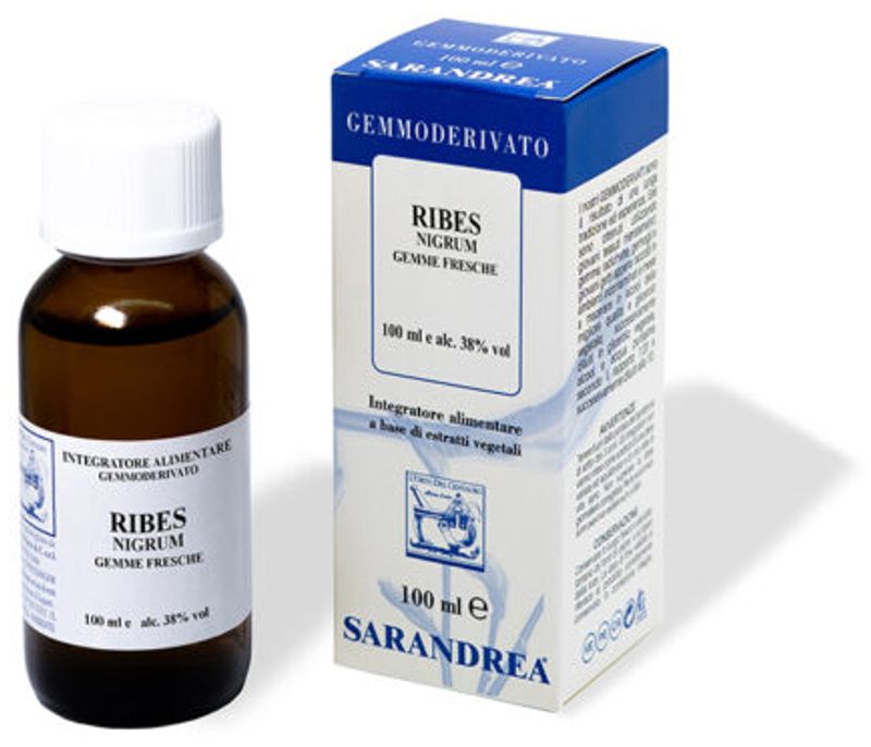 RIBES NIGRUM 100ML MG-1