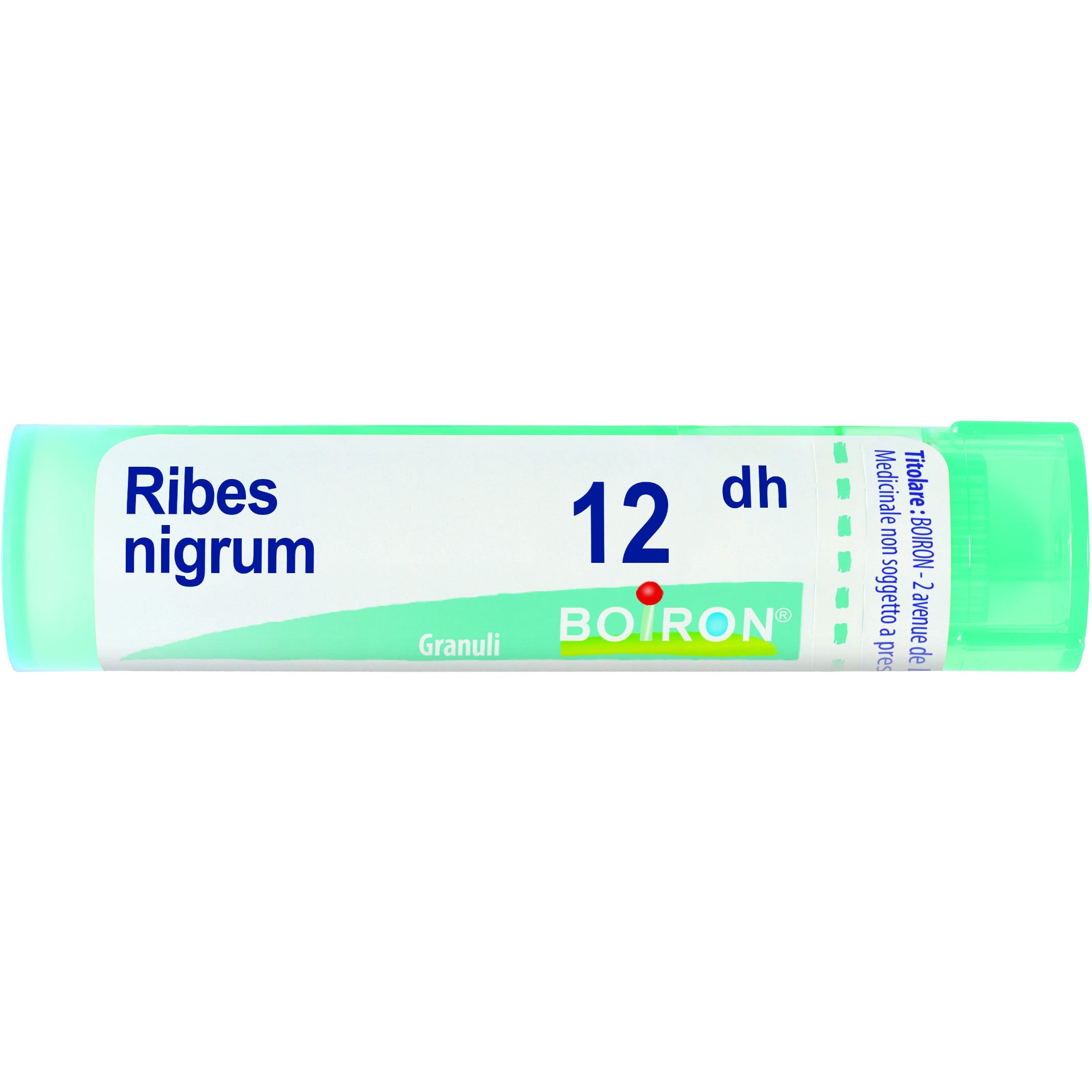 Boiron Ribes Nigrum Granuli 12Dh Tubo 4g-1
