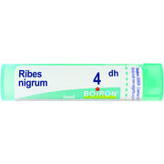 Boiron Ribes Nigrum Granuli 04Dh Tubo 4g-1
