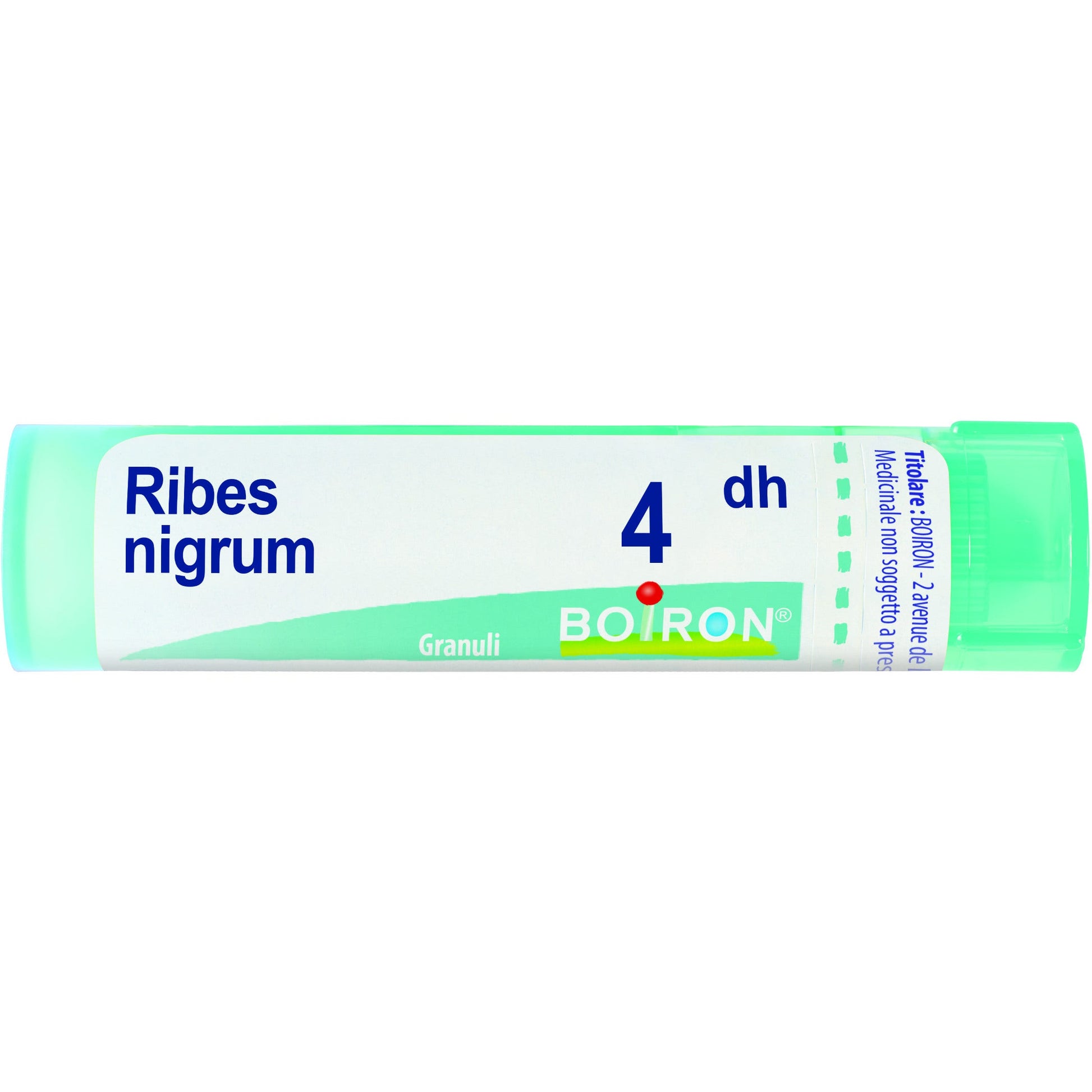 Boiron Ribes Nigrum Granuli 04Dh Tubo 4g-1