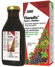 Salus Floradix Linfa d'erbe ricca di ferro 250 ml-1