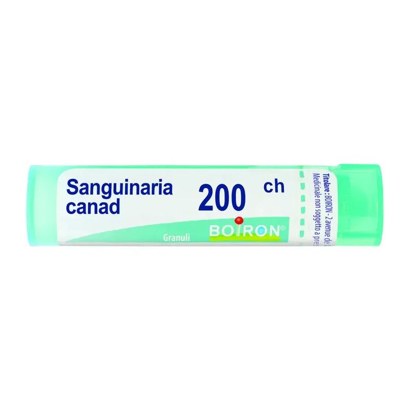 Boiron Sanguinaria Canad 200CH medicinale omeopatico 4g-1