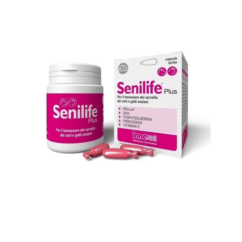 Senilife Plus per il benessere del cervello di cani e gatti anziani 30 capsule birillo-1
