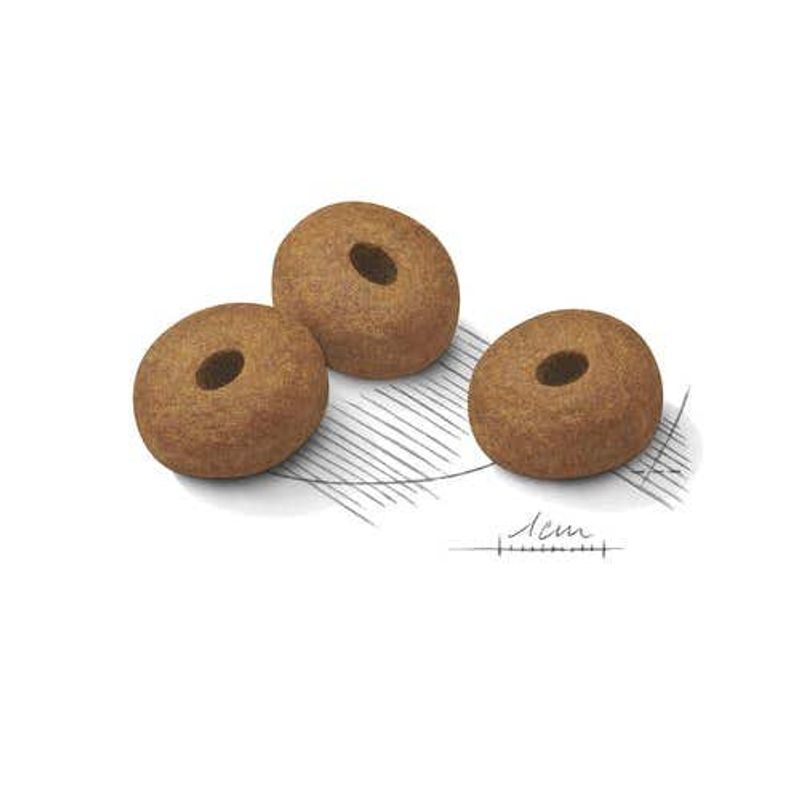 Royal Canin Light Weight Care Crocchette Per Cani Taglia Grande Sacco 3kg-2