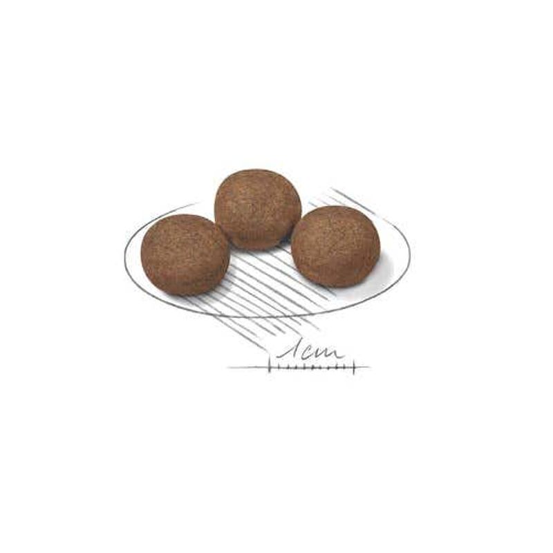 Royal Canin Crocchette Per Cuccioli Taglia Media Sacco 4kg-2