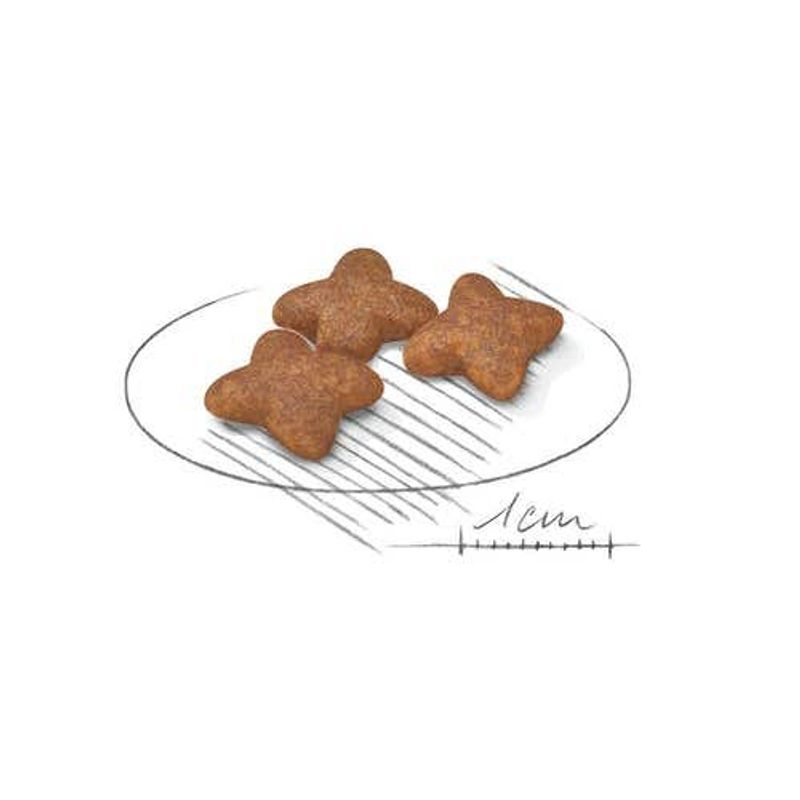 Royal Canin Crocchette Per Cane Adulti Taglia Mini Sacco 800g-2