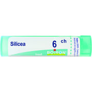 Boiron Silicea Granuli 06Ch Tubo 4g-1