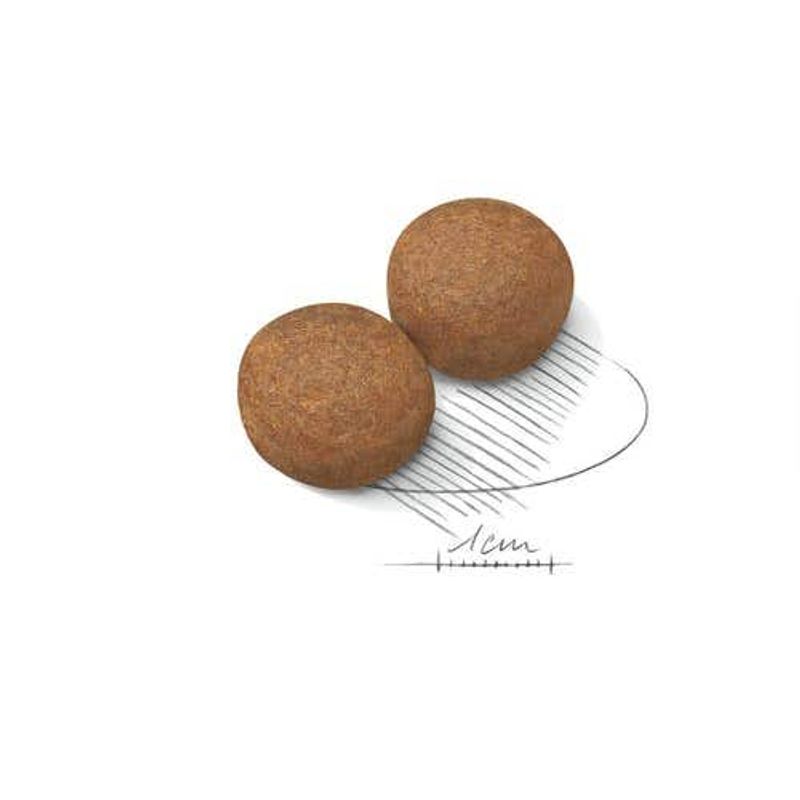 Royal Canin Crocchette Cane Maxi Adult 15kg-2