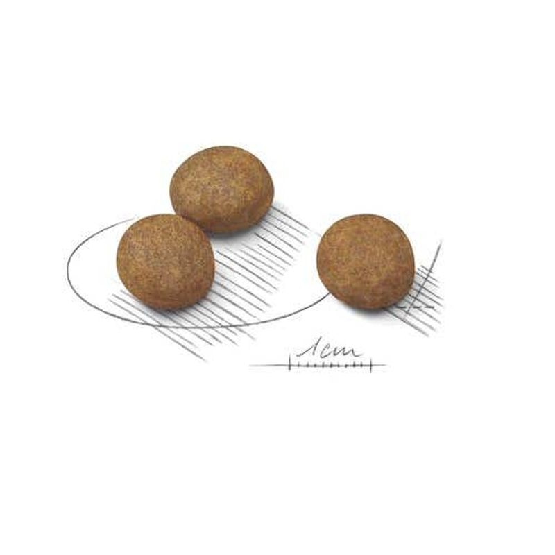 Royal Canin Crocchette Per Cuccioli Taglia Grande Sacco 15kg-2