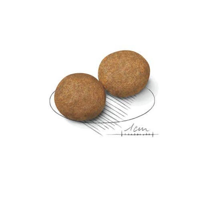 Royal Canin Crocchette Per Cani Adulti Taglia Media Sacco 4kg-2