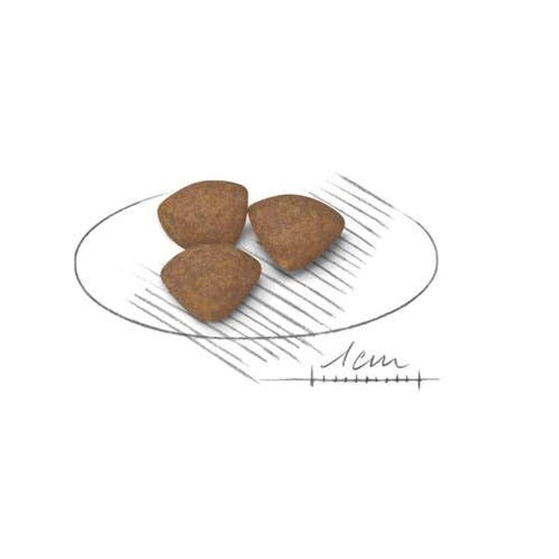 Royal Canin Crocchette Per Cuccioli Taglia Mini Sacco 800g-2