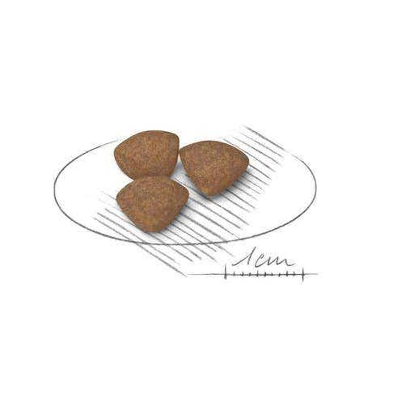 Royal Canin Crocchette Per Cuccioli Taglia Mini Sacco 4kg-2