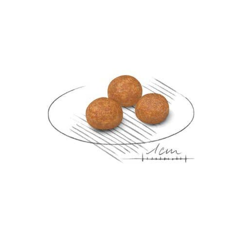 Royal Canin Crocchette Cane Extra Small Adult 500g-2