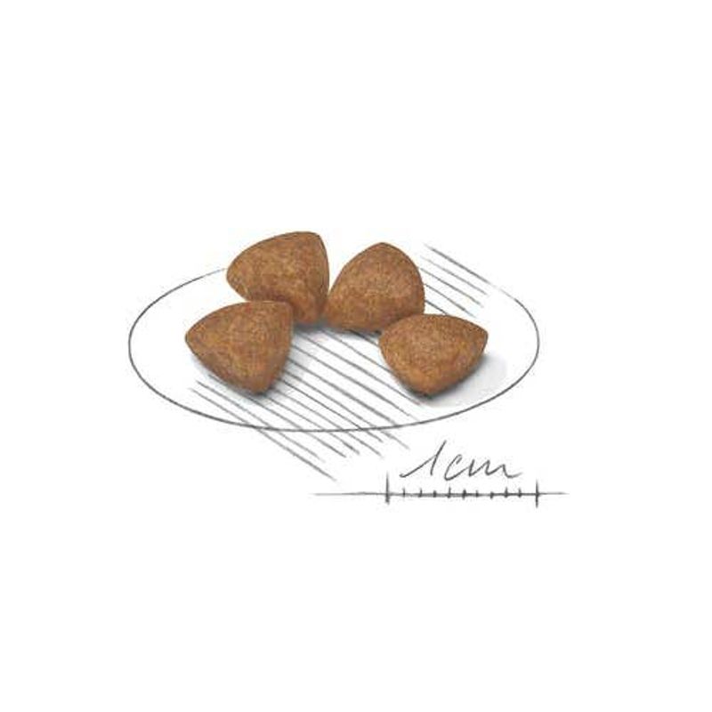 Royal Canin Crocchette Per Cuccioli Taglia Molto Piccola Sacco 500g-2