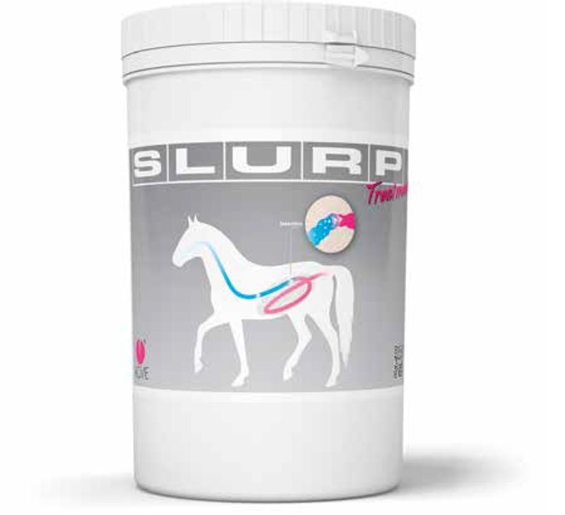 Slurp Treatment Mangime Complementare Per Cavalli 500g-1