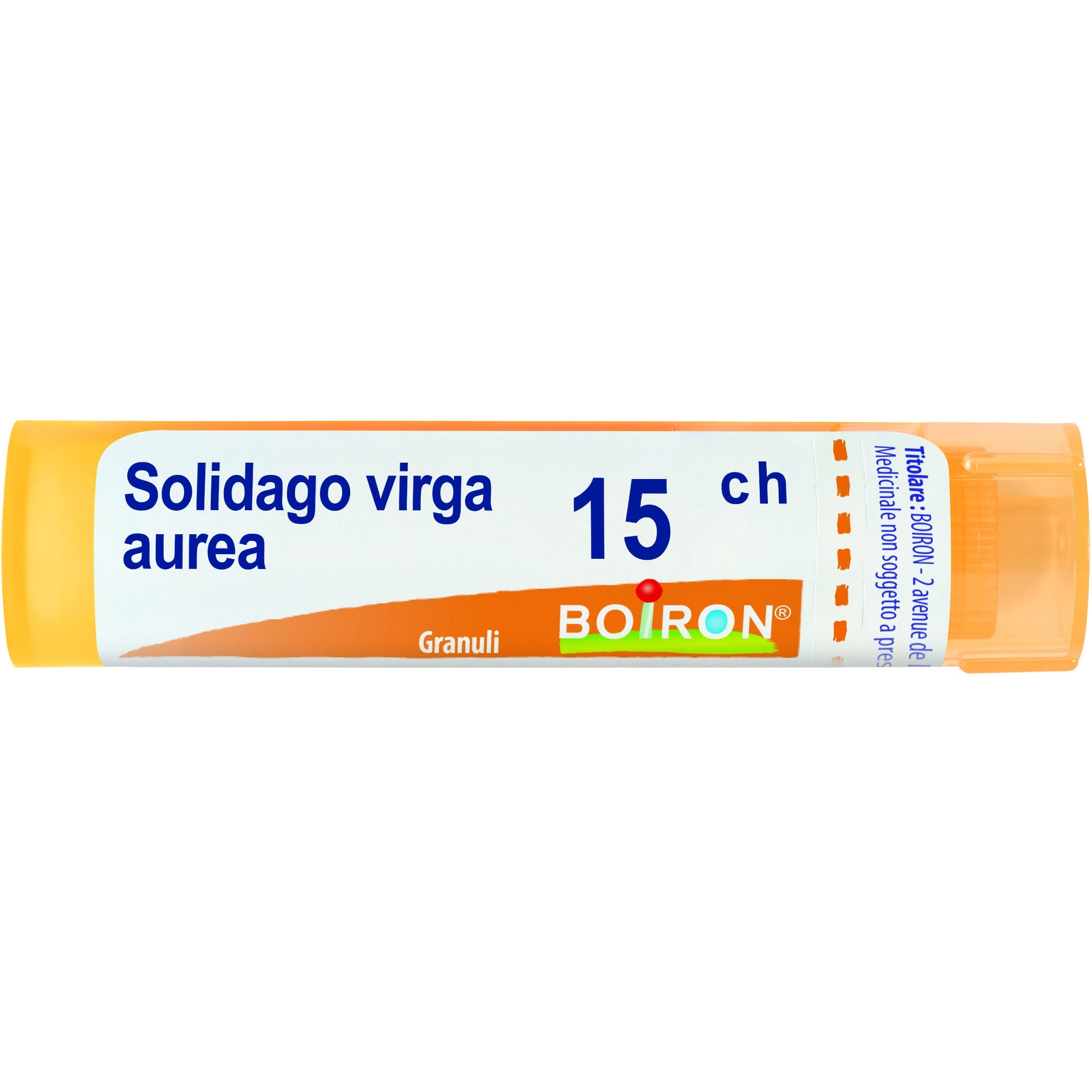 Boiron Solidago Virga Aurea Granuli 15Ch Tubo 4g-1
