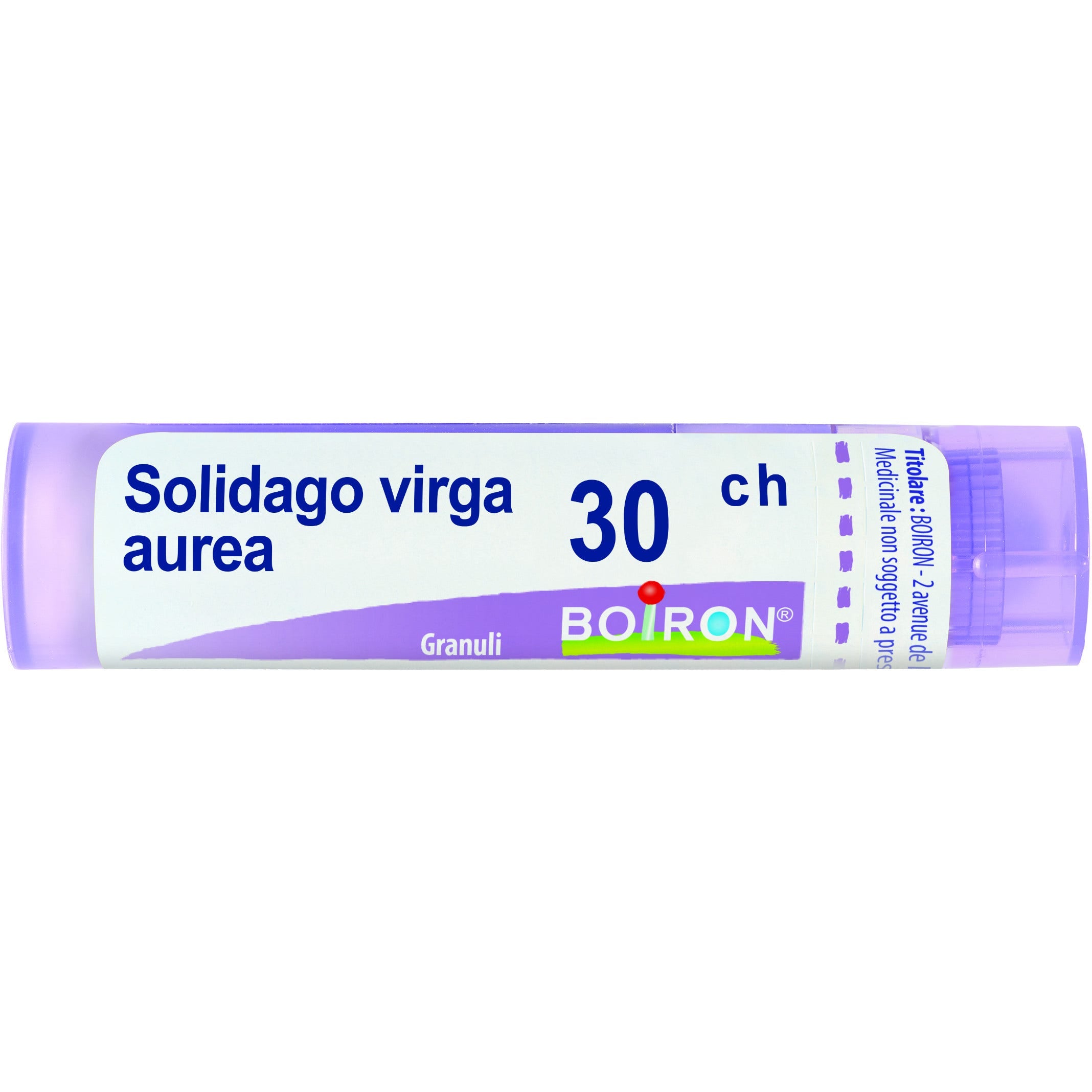 Boiron Solidago Virga Aurea 30CH medicinale omeopatico granuli 4g-1