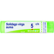 Boiron Solidago Virga Aurea Granuli 05Ch Tubo 4g-1