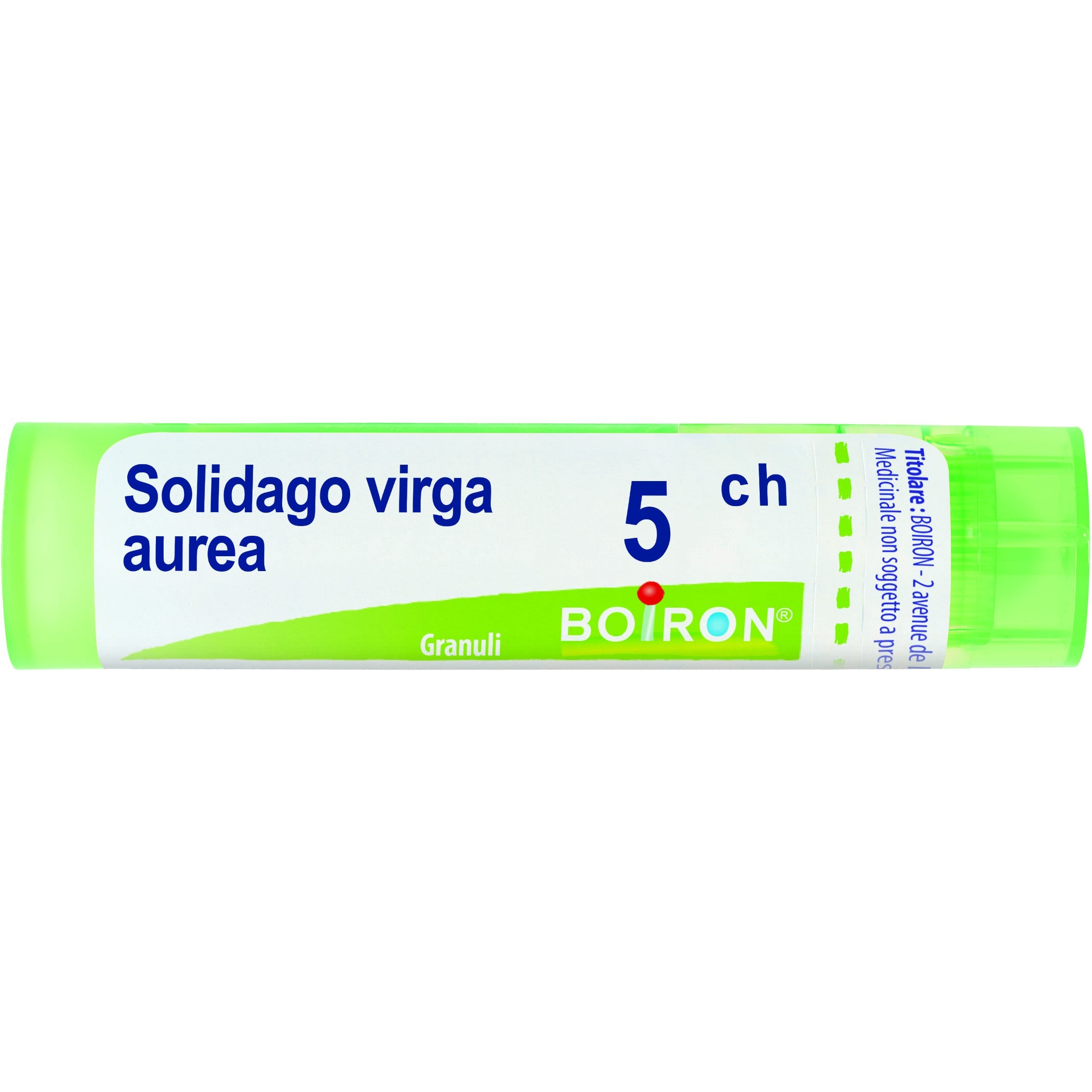 Boiron Solidago Virga Aurea Granuli 05Ch Tubo 4g-1