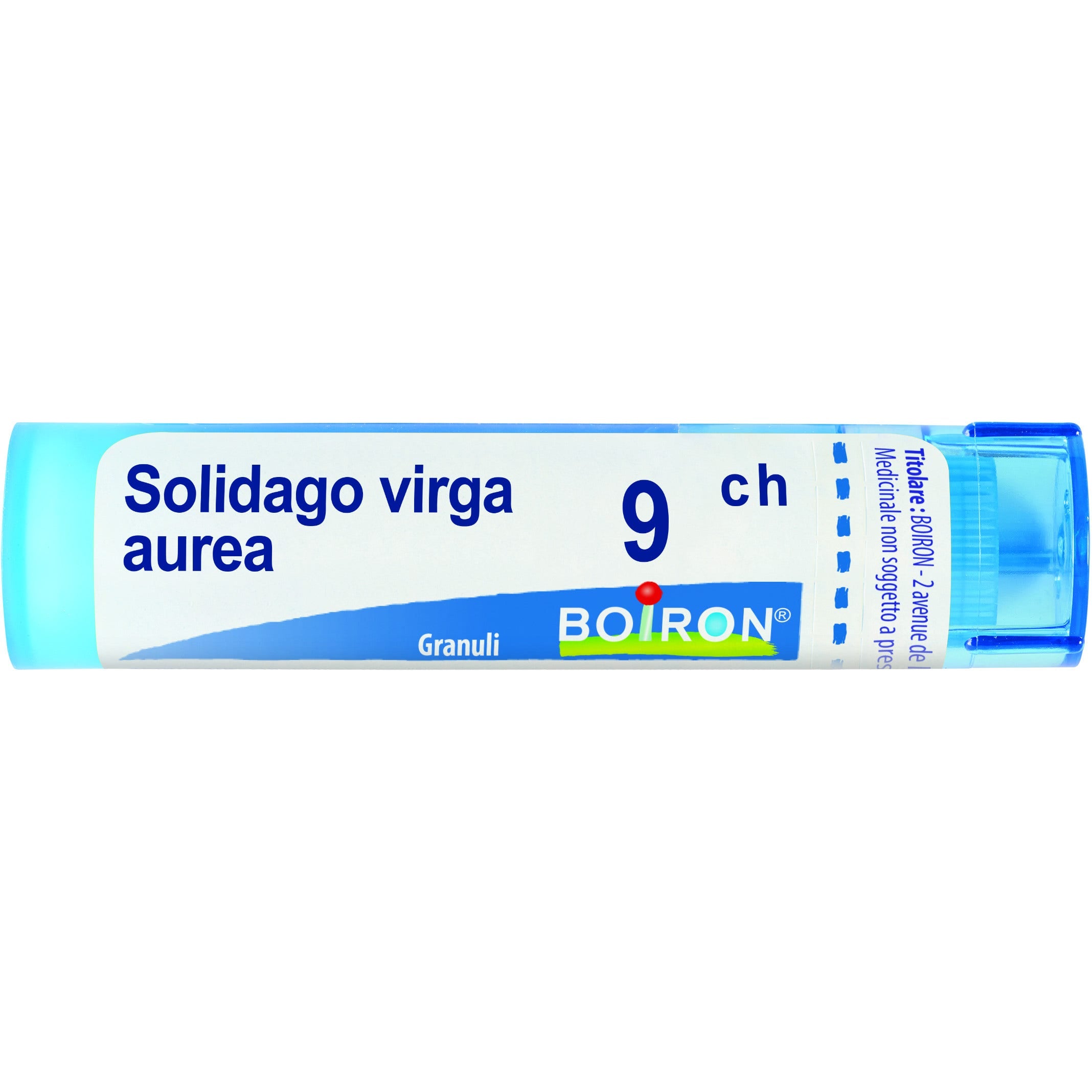 Boiron Solidago Virga Aurea Granuli 09Ch Tubo 4g-1