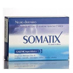 Somatix 30 Capsule-1