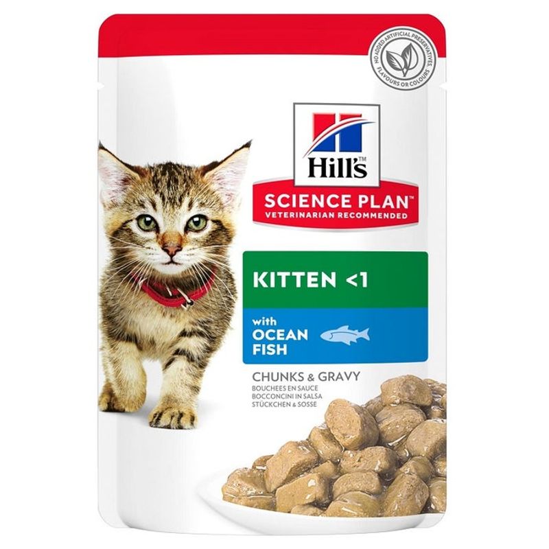 Hill's Science Plan Umido Kitten Pesce Oceano Bustina 85g-1