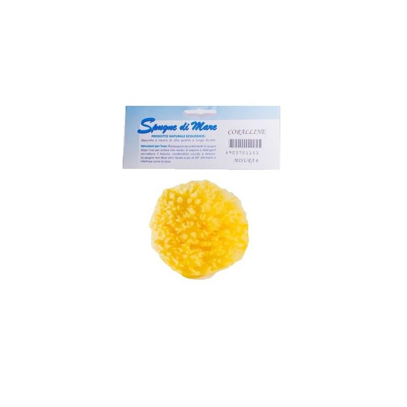 Spugna Di Mare Naturale Medium 1 Pezzo-1