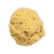 Spugna Naturale Fori Larghi 8/9cm 1 Pezzo-1