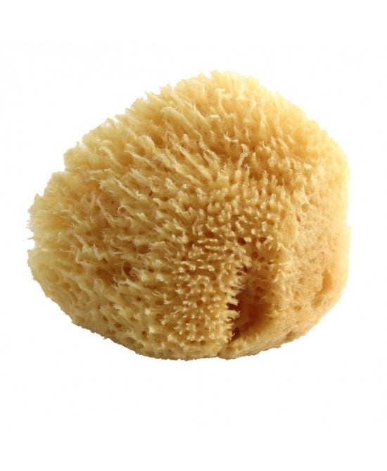 Spugna Naturale Media 1 Pezzo-1