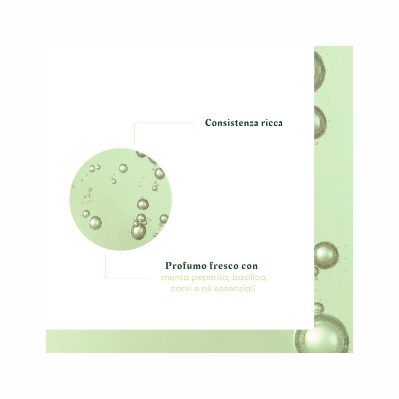 Rene Furterer Naturia Shampoo Micellare Delicato 400ml-6