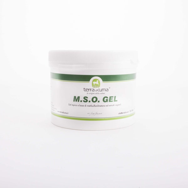 Mso Gel Per Equini 500g-1