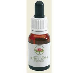 Sundew Australian 15ml Gocce-1