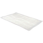 Camon Tappetino Assorbente Cani 60x60cm 10 Pezzi-1
