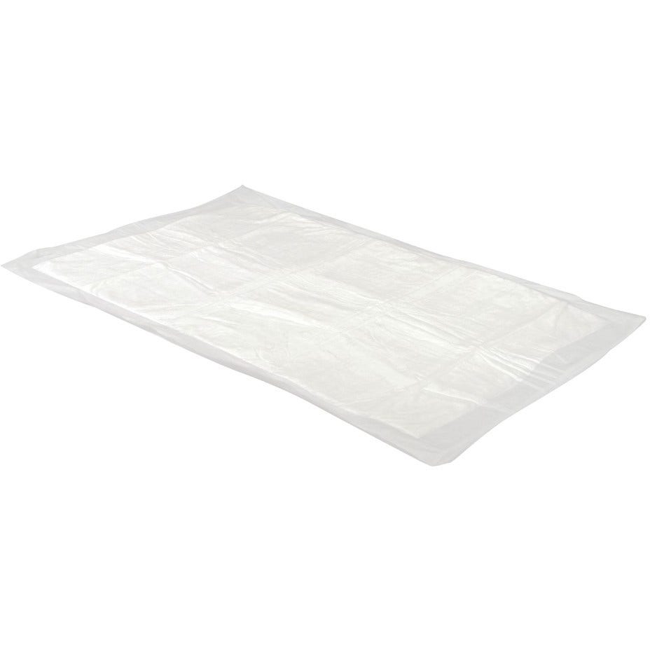 Camon Tappetino Assorbente Cani 60x60cm 10 Pezzi-1