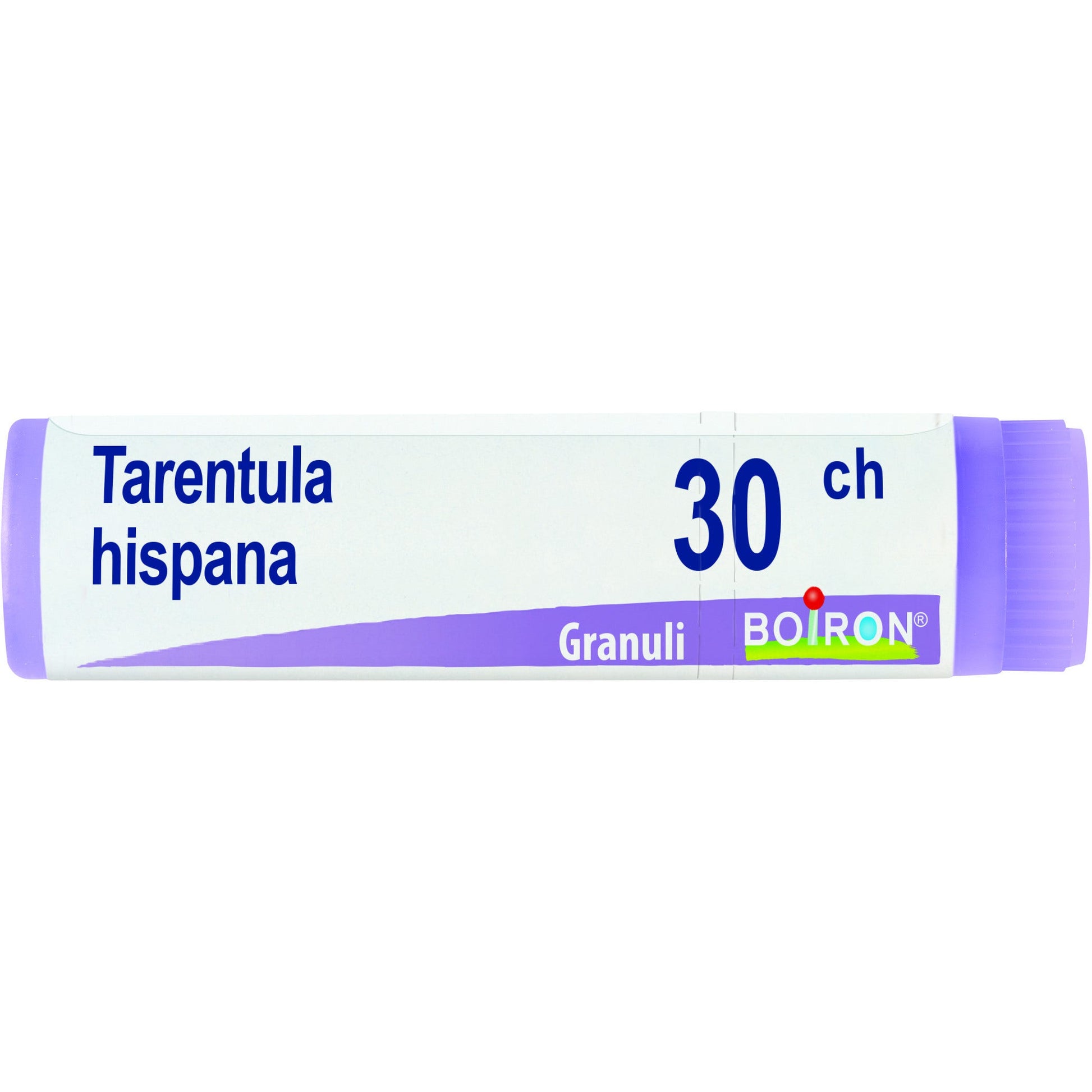Boiron Tarentula Hispana Globuli 30Ch Dose 1g-1