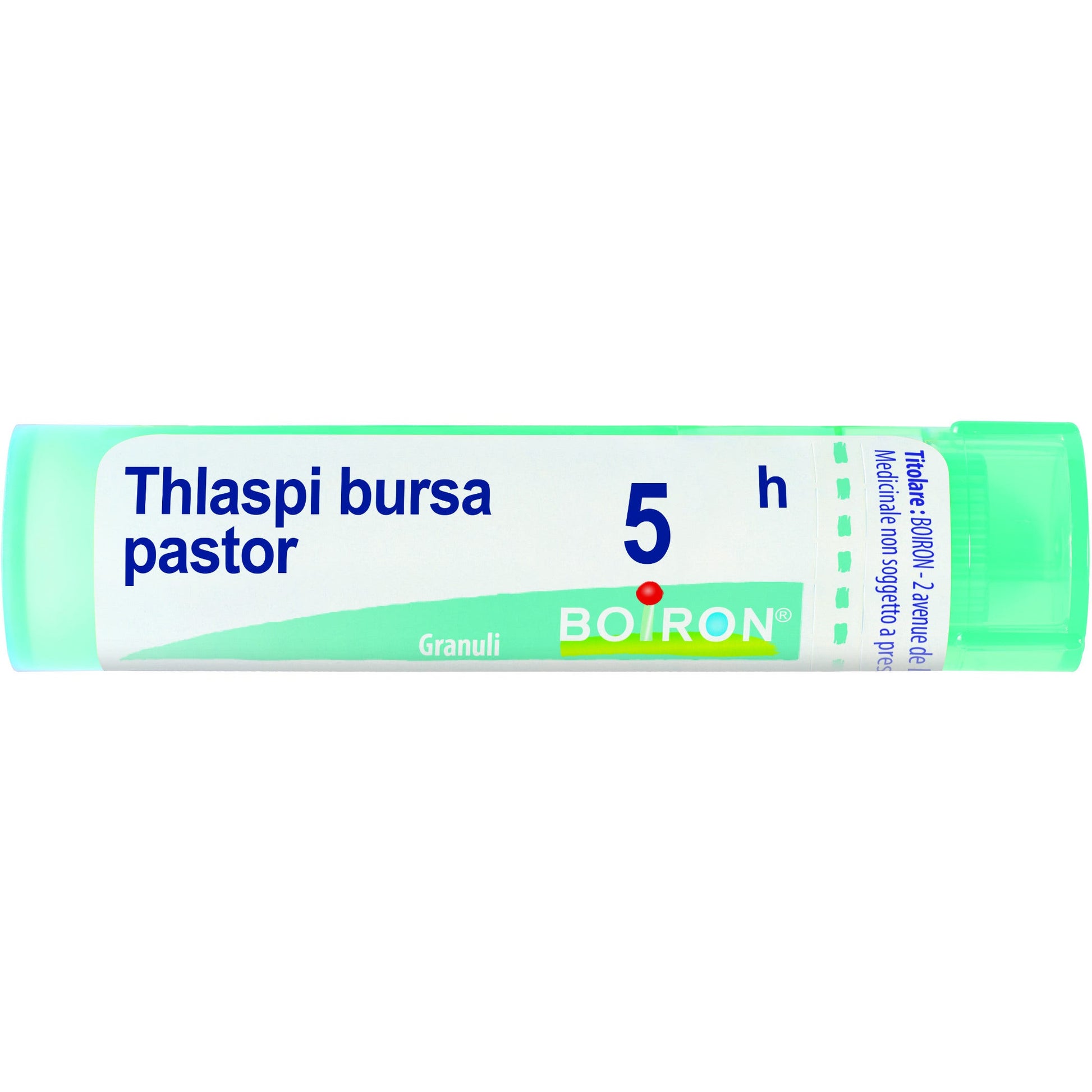 Boiron Thlaspi Bursa Pastor Granuli 05H Tubo 4g-1
