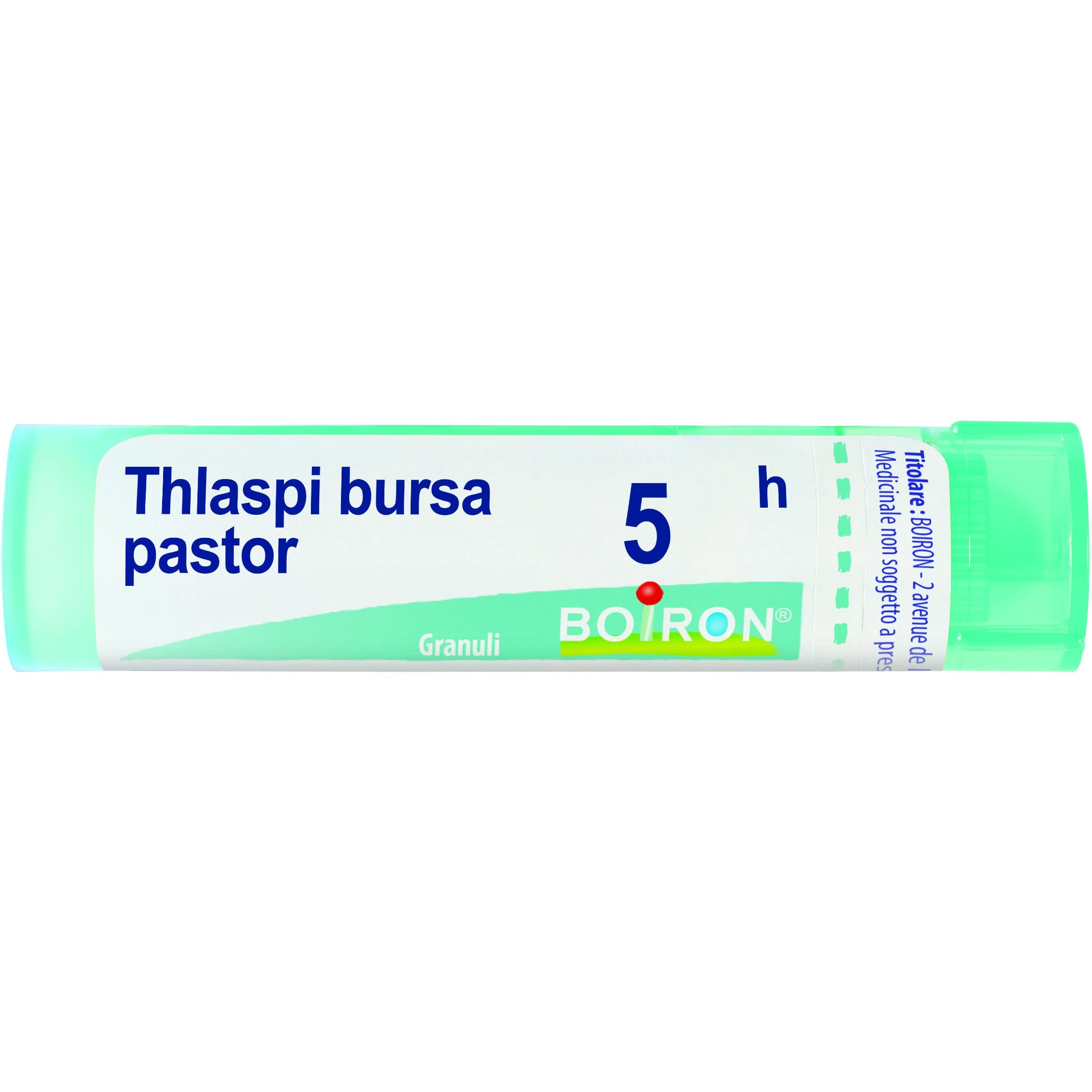 Boiron Thlaspi Bursa Pastor Granuli 05H Tubo 4g-1