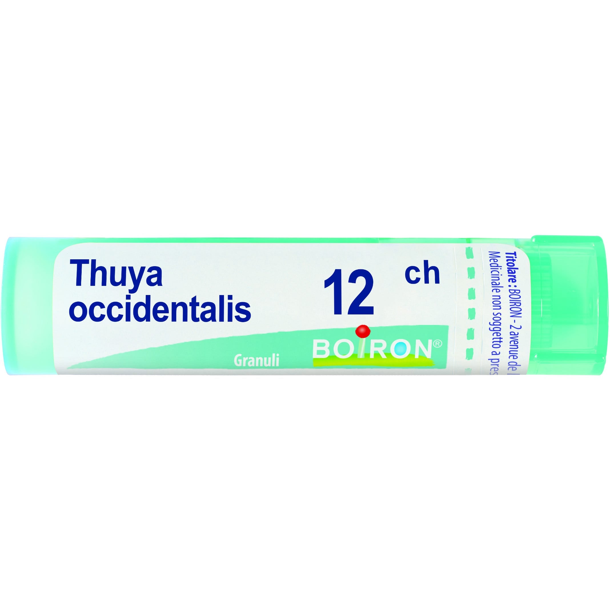 Boiron Thuya Occidentalis Granuli 12Ch Tubo 4g-1