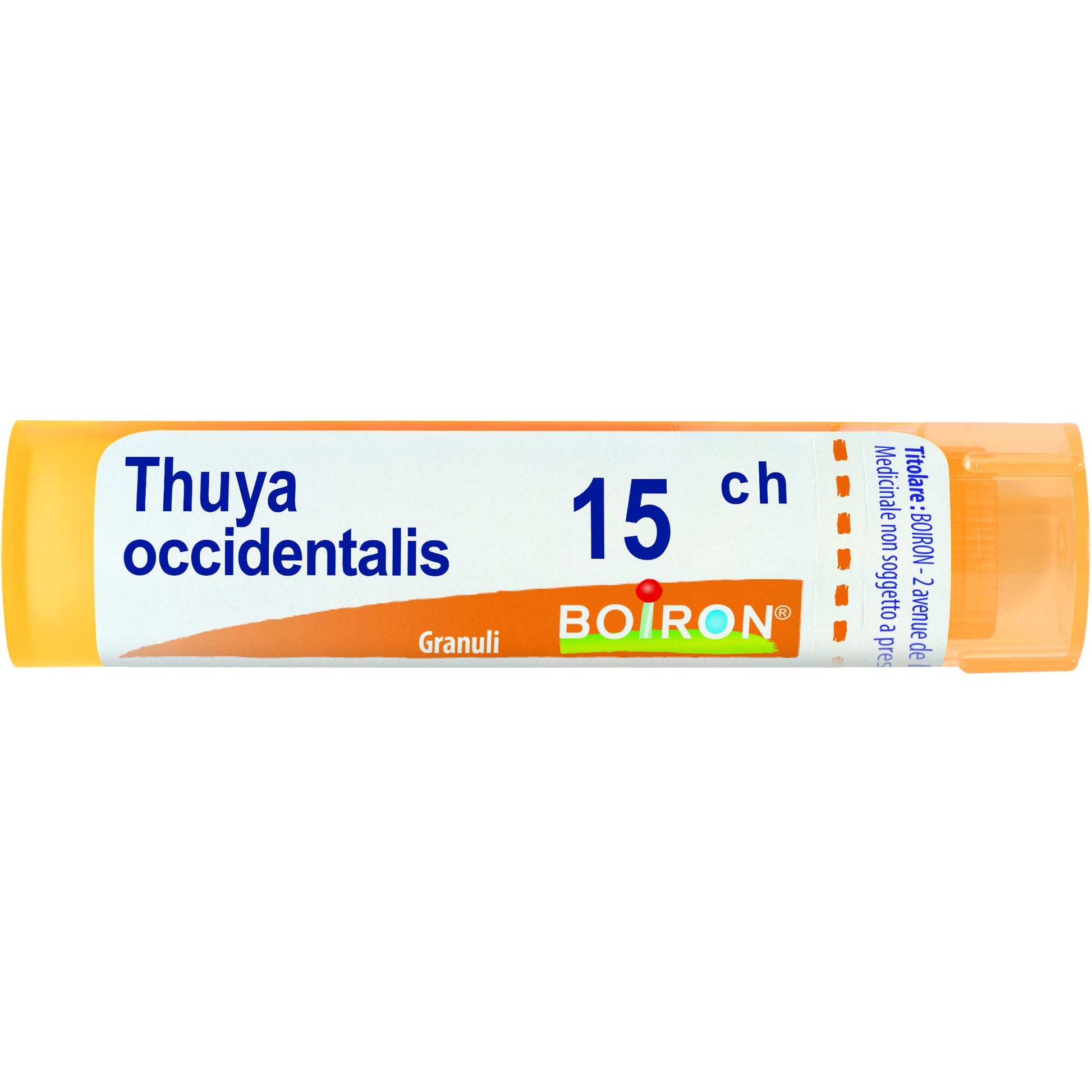 Boiron Thuya Occidentalis Granuli 15Ch Tubo 4g-1