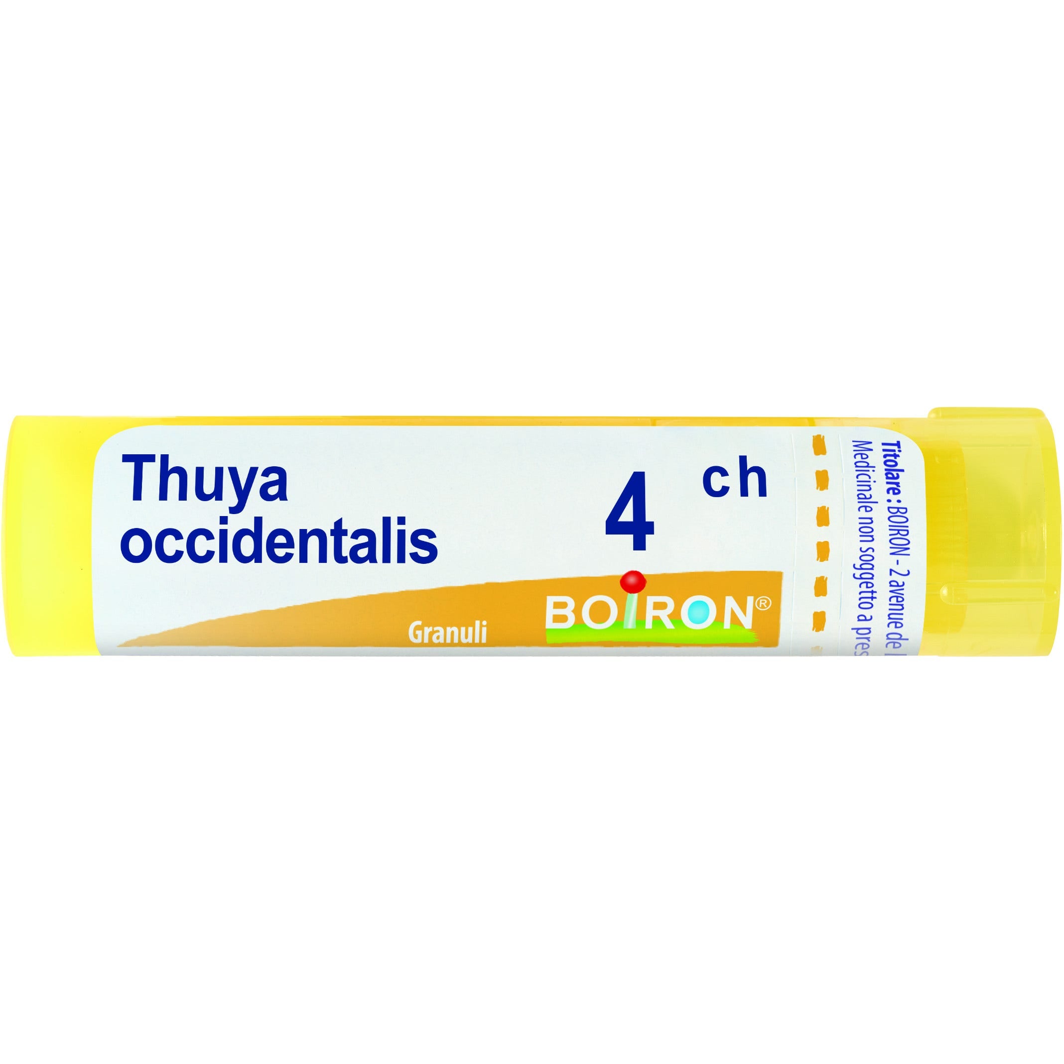 Boiron Thuya Occidentalis Granuli 04Ch Tubo 4g-1