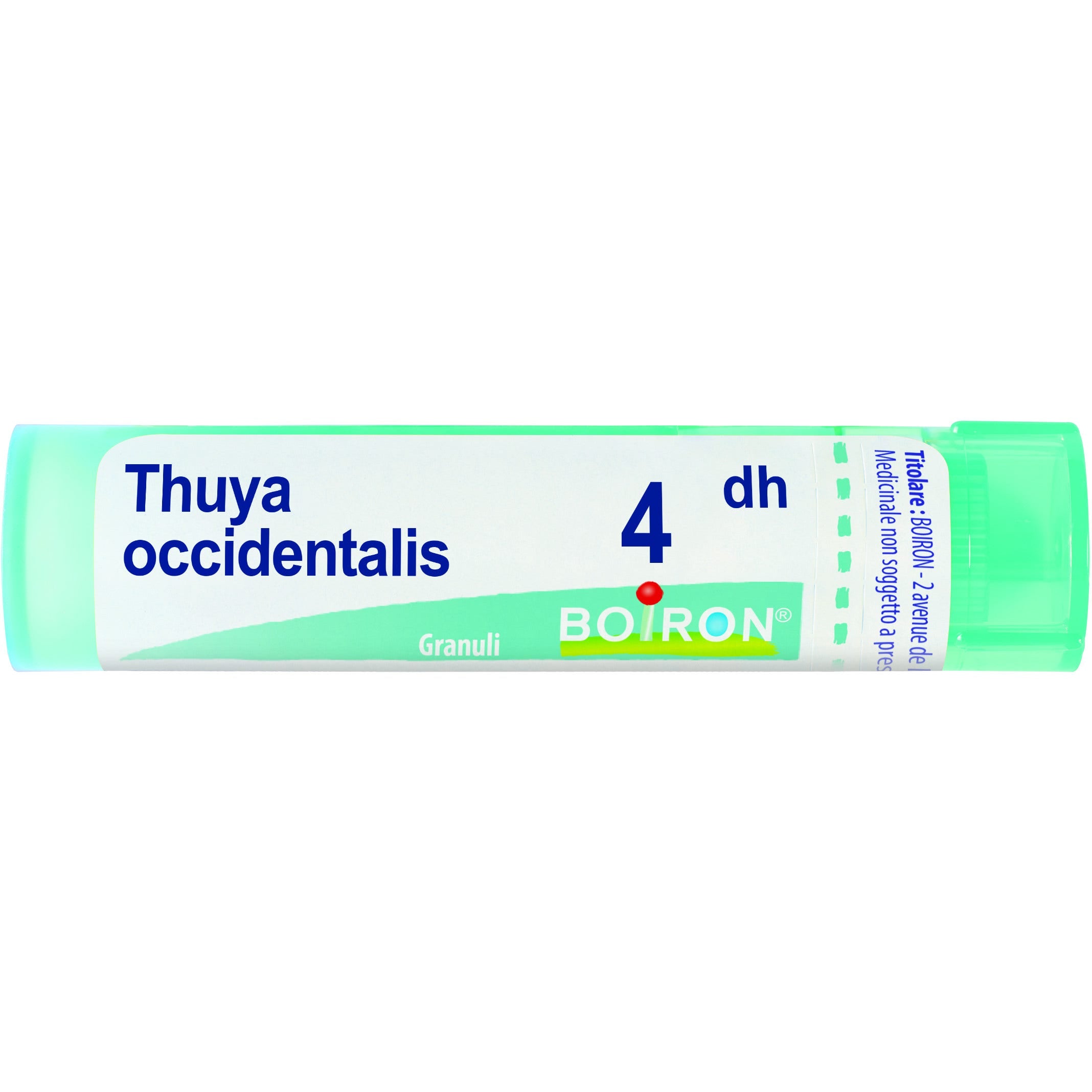 Boiron Thuya Occidentalis Granuli 04Dh Tubo 4g-1