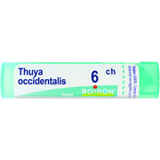 Boiron Thuya Occidentalis Granuli 06Ch Tubo 4g-1
