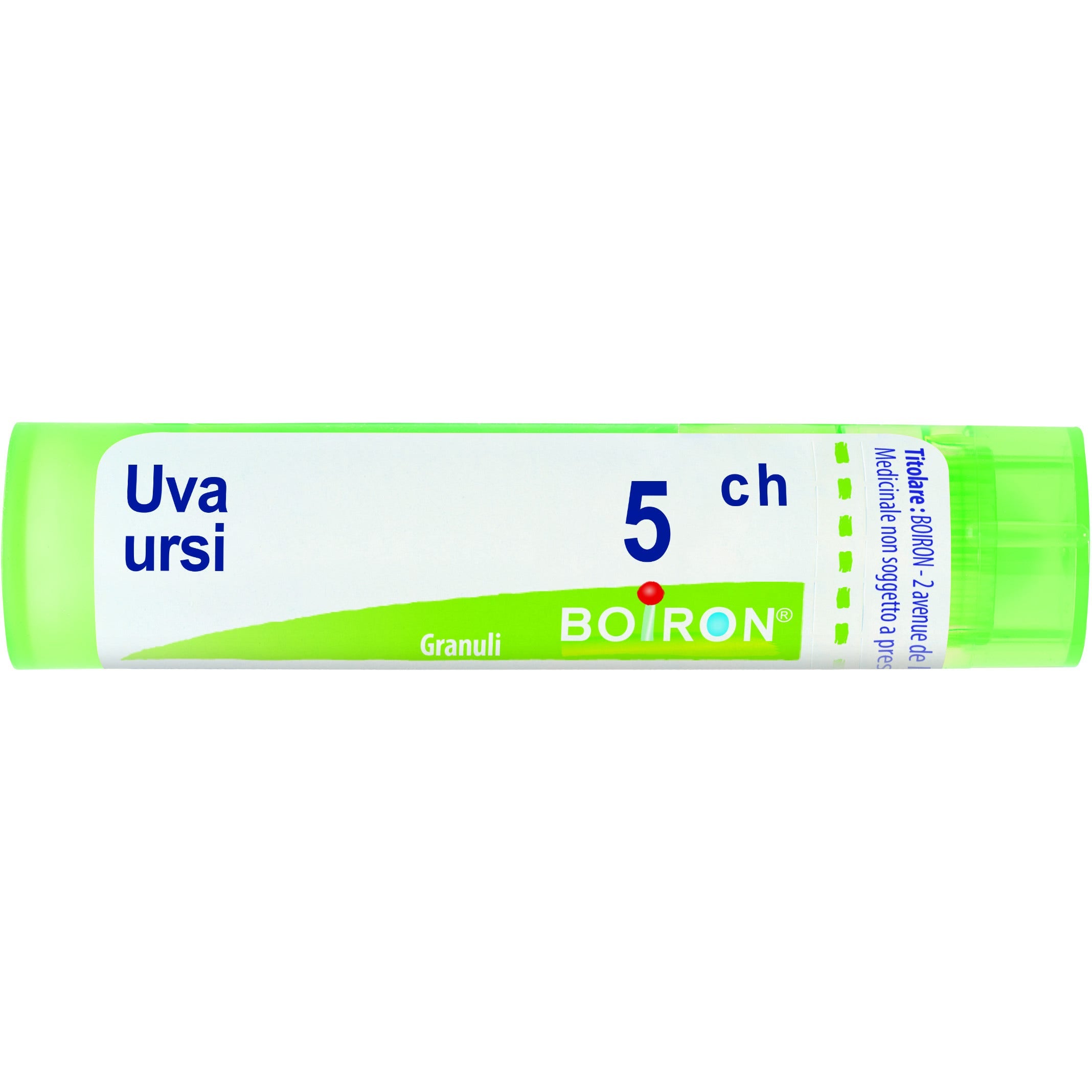 Boiron Uva Ursi Granuli 05Ch Tubo 4g-1