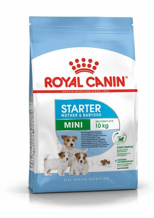 Royal Canin Starter Mother&Babydog Crocchette Per Cagne E Cuccioli Taglia Piccola Sacco 8,5kg-1